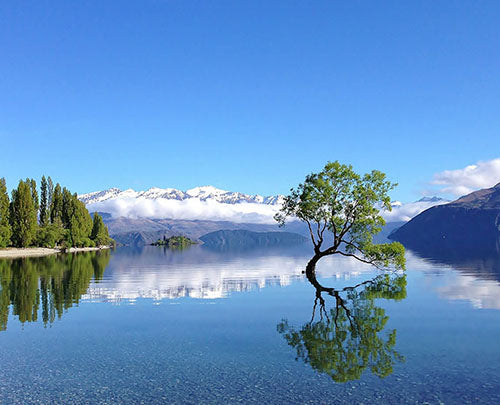 Join my tour of Central Otago!